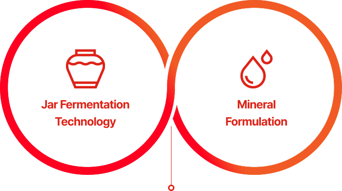 Jar Fermentation Technology, Mineral Formulation