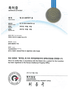 Patent Certificate (Character Mask)